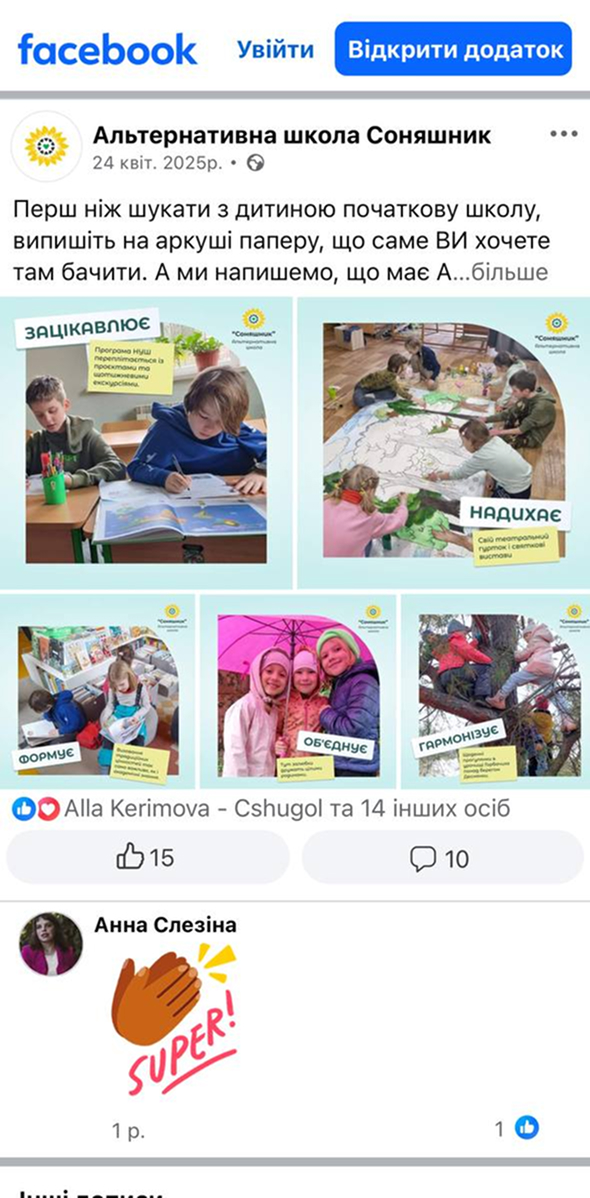 facebook-sunflowers-school